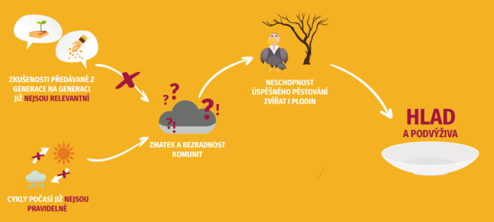 zambie-infografika-red
