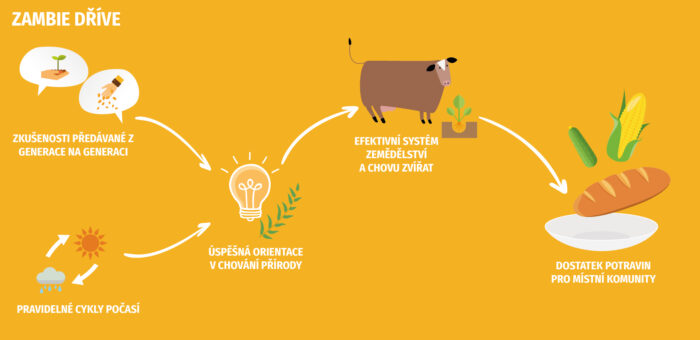 zambie-infografika-pred