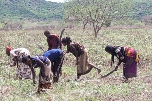 CARE Česká republika rozvojový projekt Etiopie_1