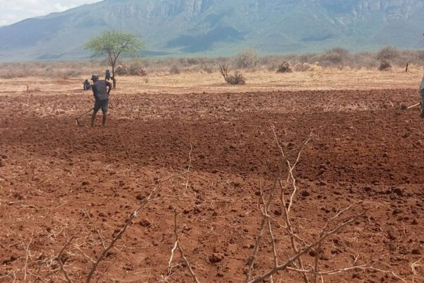 CARE Česká republika rozvojový projekt Etiopie_3