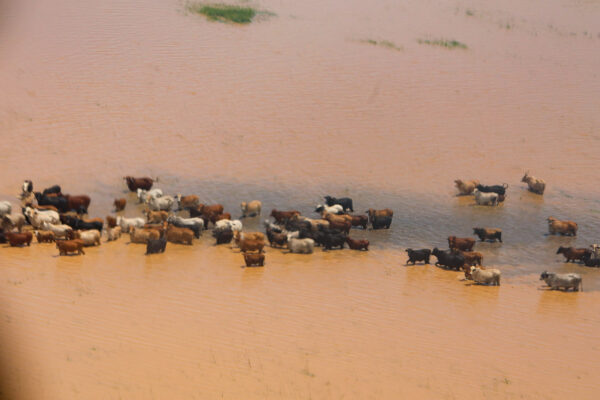 Pomoc Zambii CARE Česká republika