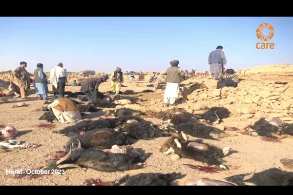 CARE Česká republika pomoc zemetreseni Herat Afghanistan14