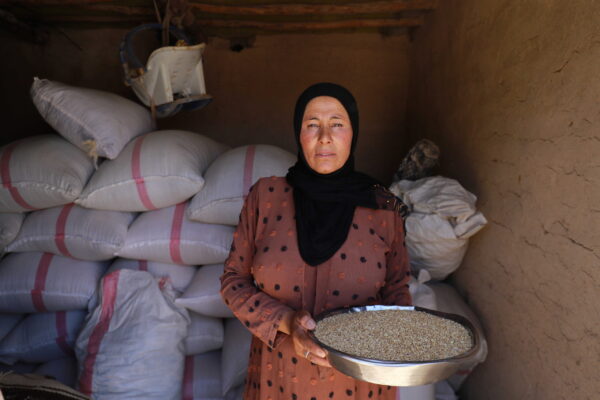 Kamla received assistance from CARE under a grant from the UK&rsquo;s Foreign, Commonwealth and Development Office (FCDO) for building resilience in Syria. This included technical training, 500 kilograms of wheat seeds, fertilizers, the opportunity to participate in a &lsquo;cash-for-work&rsquo; activity, cash assistance for purchasing and installing a sprinkler irrigation system.

&nbsp;

&ldquo;The grant made a big difference [in our lives]. Before receiving the grant, I was thinking about how I would secure seeds and fertilizers because of their high prices and the decline in the financial situation due to the drought, as I was unable to purchase their agricultural inputs. The sprinkler irrigation network also helped save water and effort compared to traditional irrigation.&rdquo;&nbsp;

&nbsp;