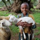 Ovečka nebo dvě jehňátka – dar, který pomáhá růst ??